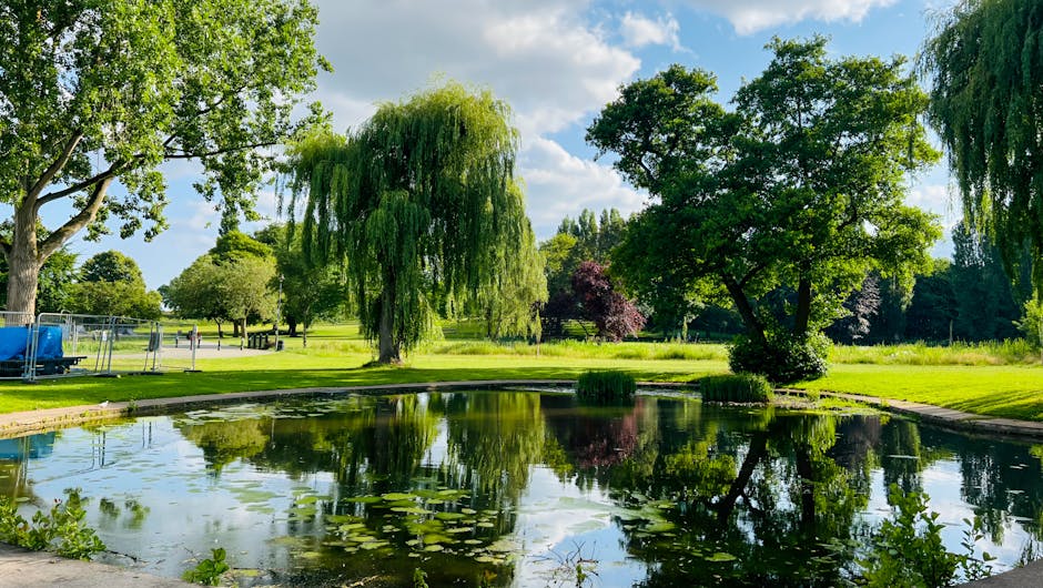 A scenic park scene featuring a small pond with floating lily pads and clear reflections of surrounding trees. Tall trees with lush green foliage, including weeping willows and broad-leaved deciduous trees, line the pond's edge. The sky is partly cloudy with patches of blue visible. In the background, there is a grassy area with a few benches and a small blue trailer or container near a metal fence, indicative of outdoor leisure or park maintenance. The scene captures daylight with natural lighting, highlighting the vibrant greenery and calm water, typical of an outdoor environment suitable for home relocation planning or moving services such as those offered by Man With a Van Southgate, supporting the themes of packing, transportation, and loading logistics in a peaceful setting.