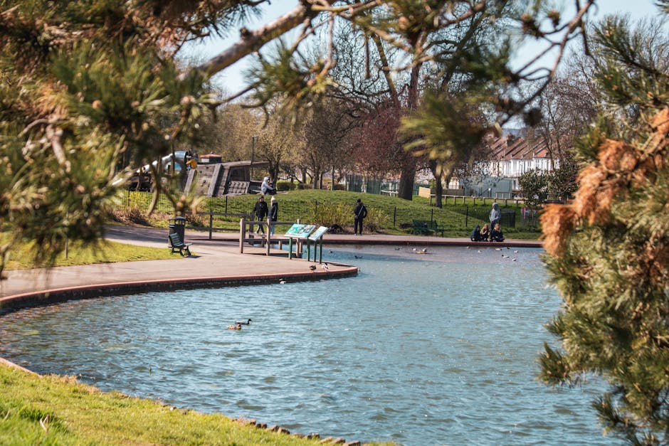 A scenic park scene featuring a small pond with floating lily pads and clear reflections of surrounding trees. Tall trees with lush green foliage, including weeping willows and broad-leaved deciduous trees, line the pond's edge. The sky is partly cloudy with patches of blue visible. In the background, there is a grassy area with a few benches and a small blue trailer or container near a metal fence, indicative of outdoor leisure or park maintenance. The scene captures daylight with natural lighting, highlighting the vibrant greenery and calm water, typical of an outdoor environment suitable for home relocation planning or moving services such as those offered by Man With a Van Southgate, supporting the themes of packing, transportation, and loading logistics in a peaceful setting.